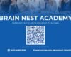 brAIN NEST kreu website