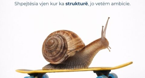 Postime draft per fushaten e Akademise (10)